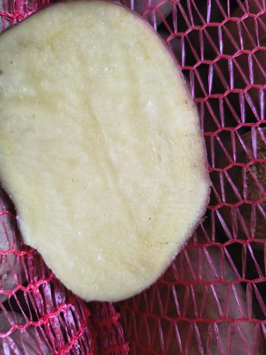 Cartofi roșu mari 60 plus