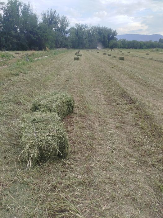 Продам сено , клевер