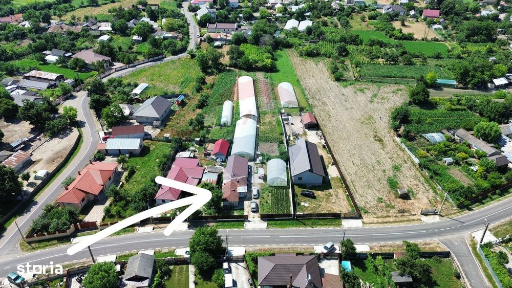 Proprietate 2.229 mp cu Dotări pentru Afacere Florală