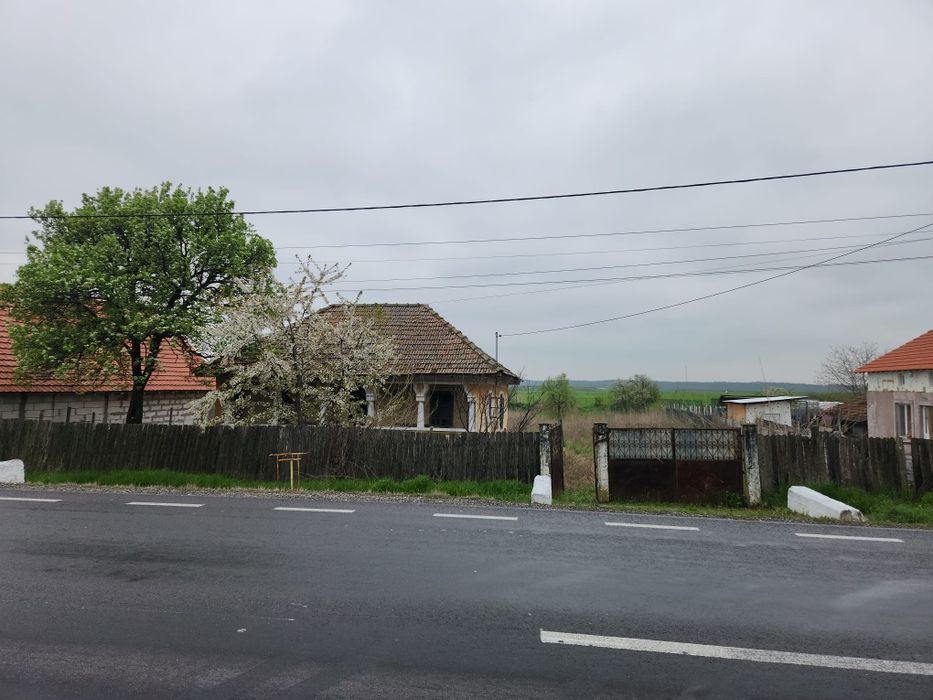 Casa + teren Rogova 7000mp