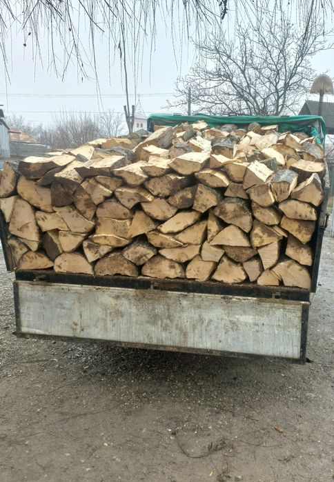 Lemne de foc fag,stejar,carpen