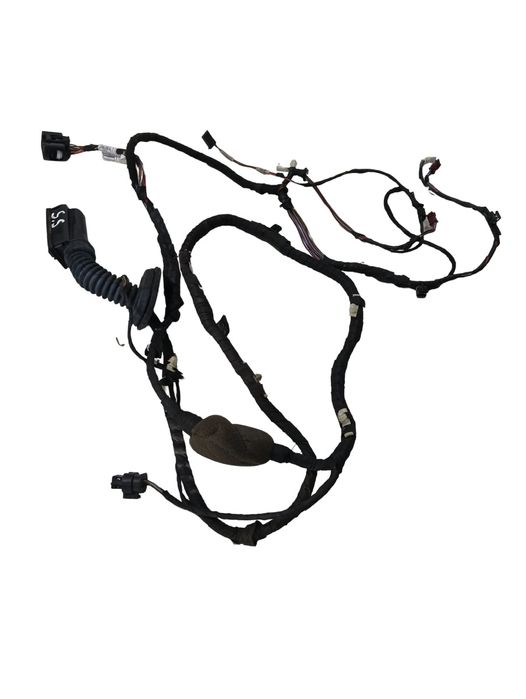 Instalatie Electrica Usa Stanga Spate Bmw 5 G30, F90 2016 - >