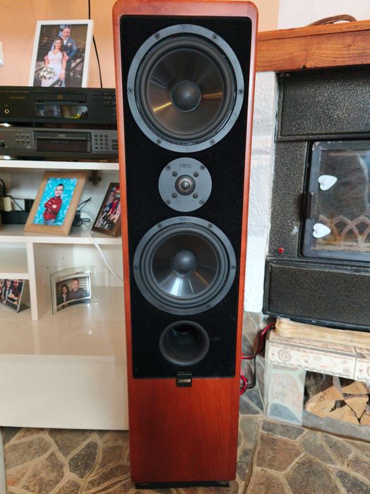 High-End Canton Ergo RC-S – Като нови, Първи собственик, Real Wood