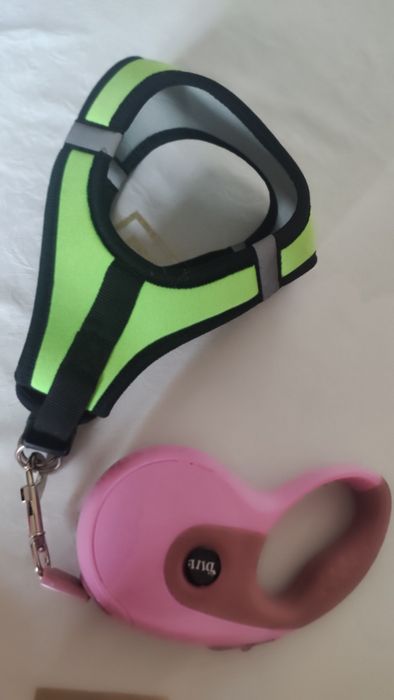 Зоотовары для кошек и маленьких собачек