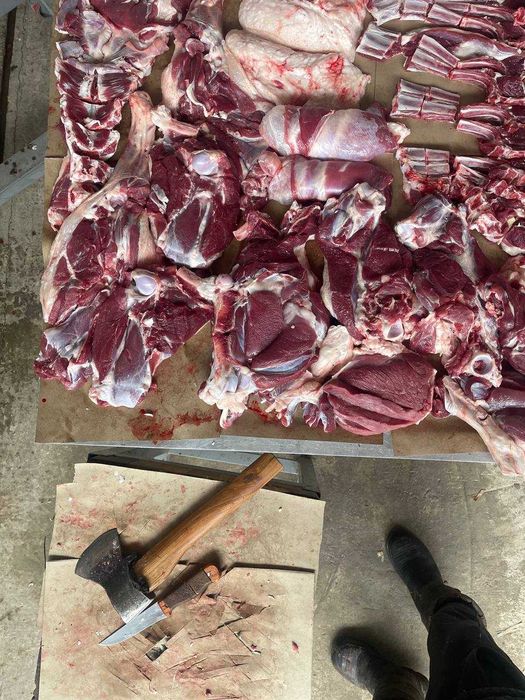 Profisional Qassoblik xizmati
