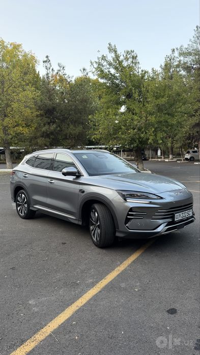 Byd chempion gibrid smart