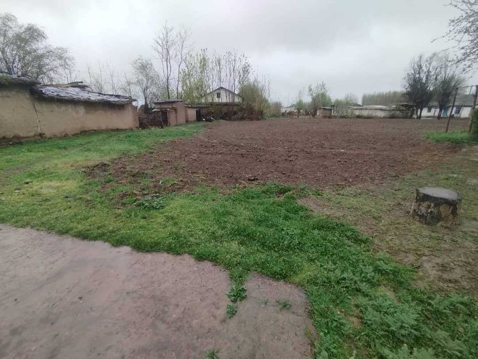 Tezda uy sotiladi – Bo‘ka tumani