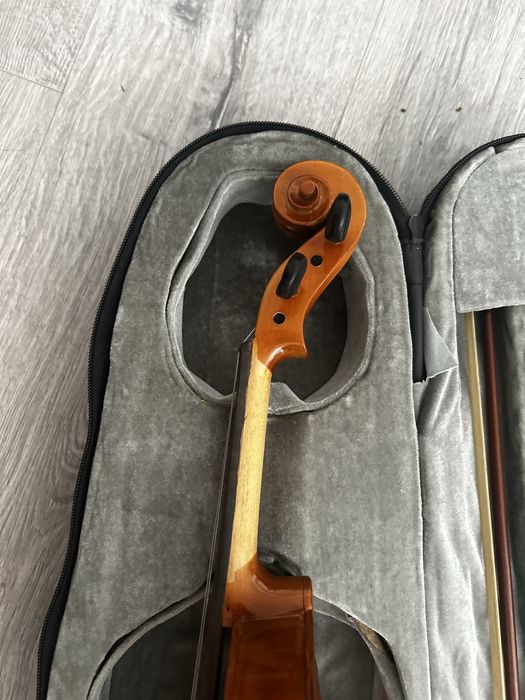 Vioara arcus si toc