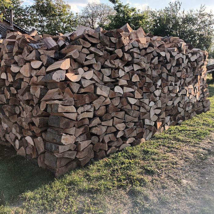 Lemne de foc fag capete uscate 600 lei tona