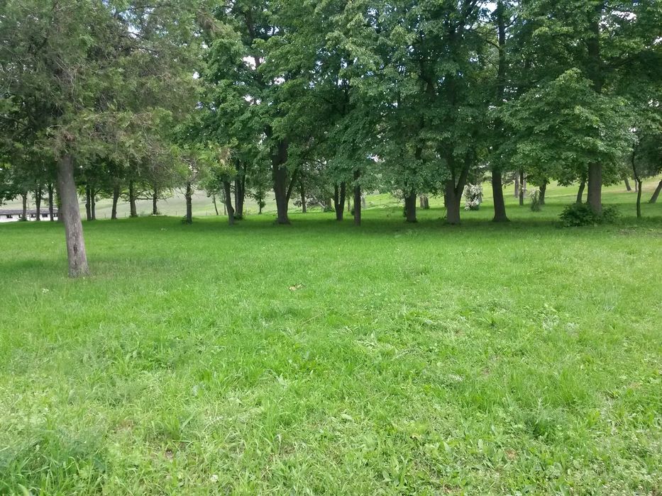 Vand sau schimb teren intravilan 2ha cu cf la 40 km de Cluj-Napoca