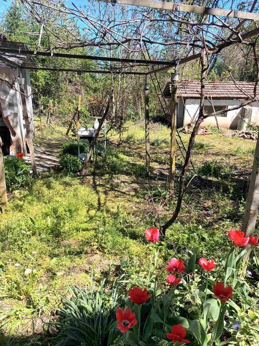 Продава се Къща в с. Девенци, Област Плевен - 140 кв.м за 110 €/кв.м - Снимка #8