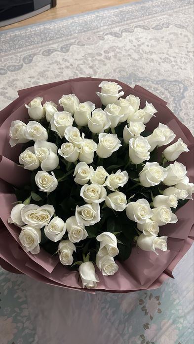 51 белые голландские розы
