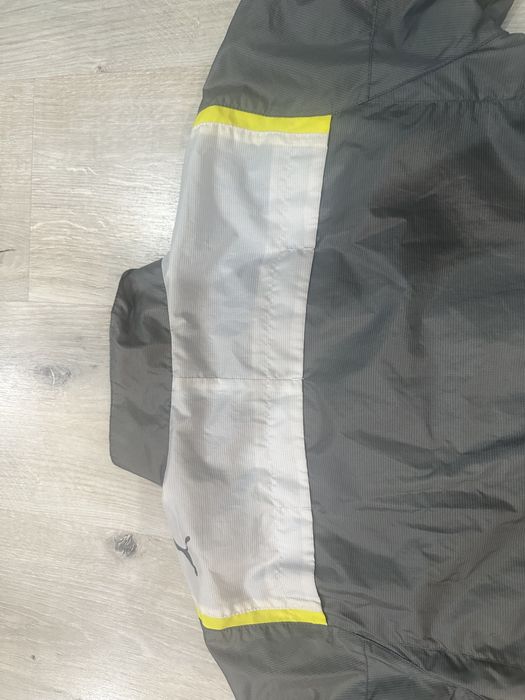 Пролетно яке Puma