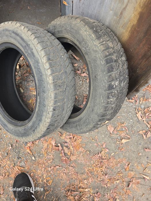 Транспорт    шины.