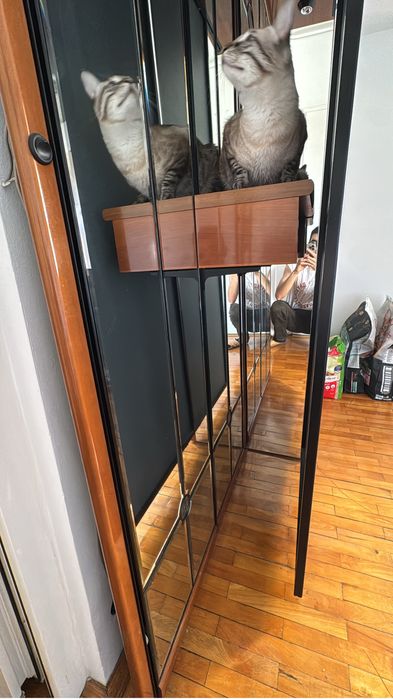 Dulap de vanzare pana pe 23 August 150 cm cu 203 cm inaltime