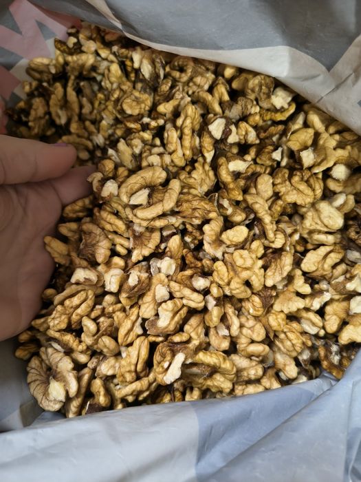 Miez de nuca din acest an