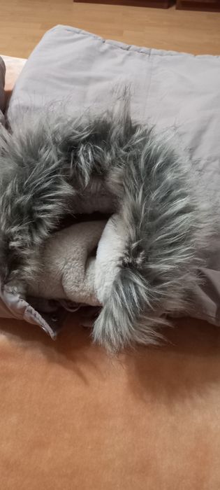 Детская парка девочке от6 лет до 8 лет может больше