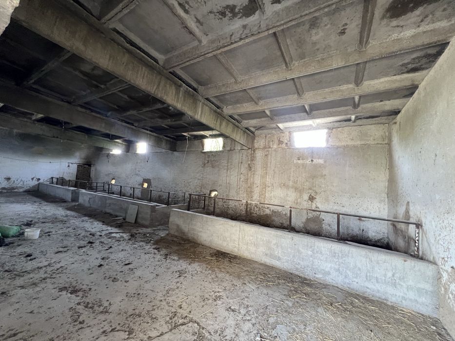 Qashqadaryo Viloyati Kitob tumani qumqishlogda 60 sotix yer sotiladi