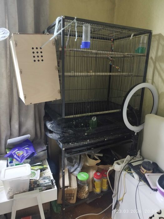 Вольер с кореллами