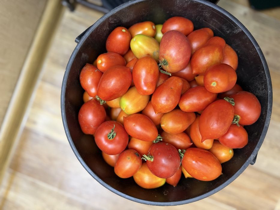 Дачная продукция