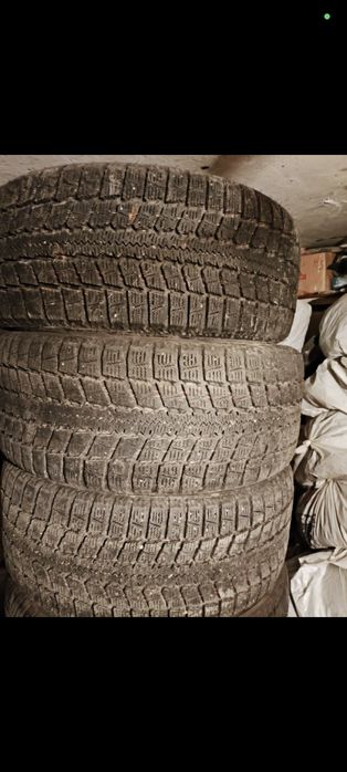 Шины зимние Nitto