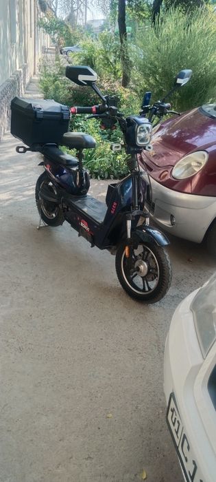 Sukut bodov tezlik 40