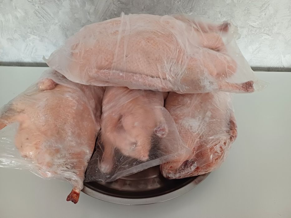 Мясо домашних гусей