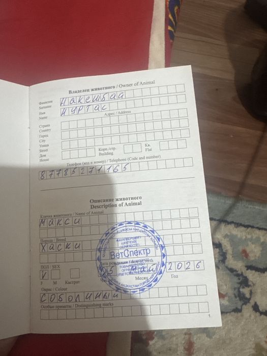 Продам хаски 3месяц