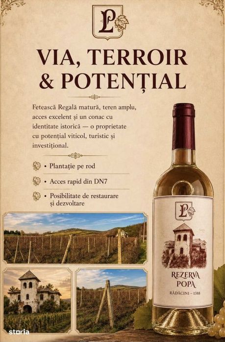 Teren de 53.000 mp cu vita de vie + Conac boieresc
