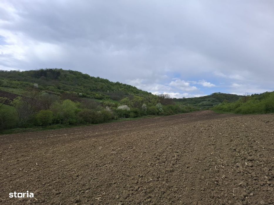 Teren extravilan arabil - Sibiu - Gusterland