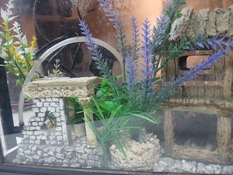 Аквариум 20 литра оборудван