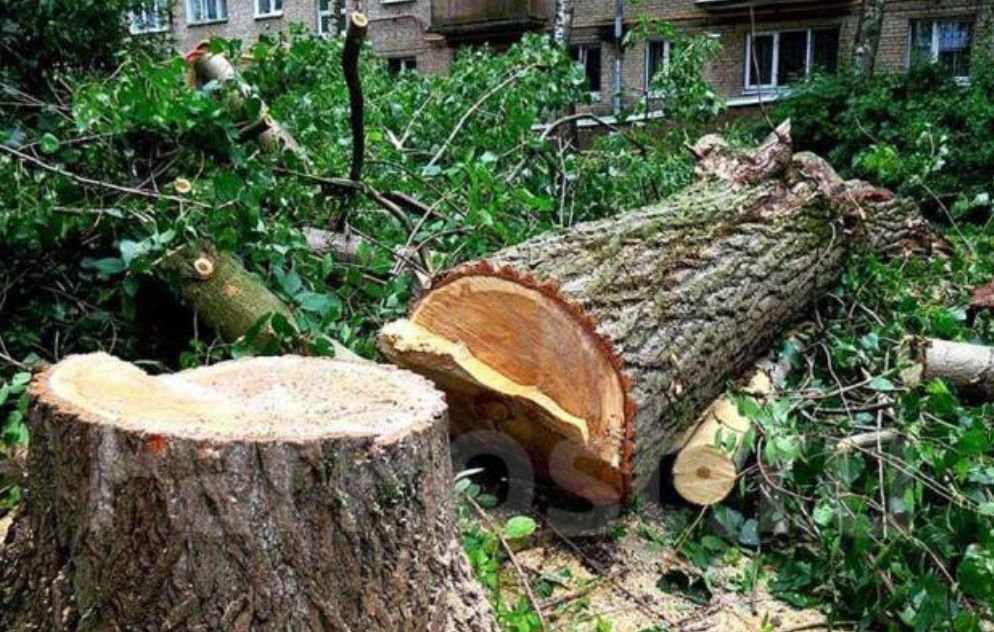 Вспашка огородов культивация