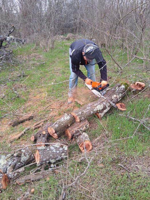 Sa făcut junglă pe terenul dumneavoastră?
