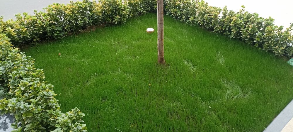 Perforator, bolgarka, drell xizmatlari, gazon ekish  ishlari  24/7