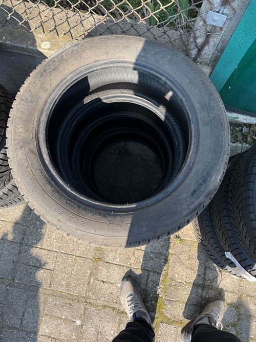 Голямо Разнообразие от Гуми!