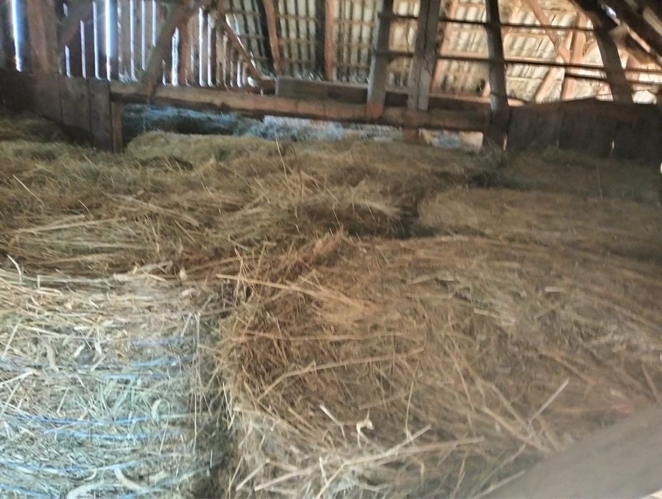 Vand baloti fan 120/120