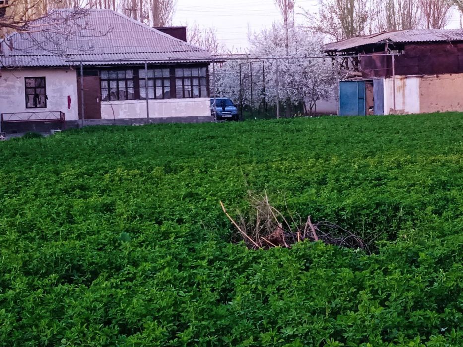 Бустонлиқ тумани Қораманас МФИ Орал Тансикбаев кучаси 79 уй сотилади.