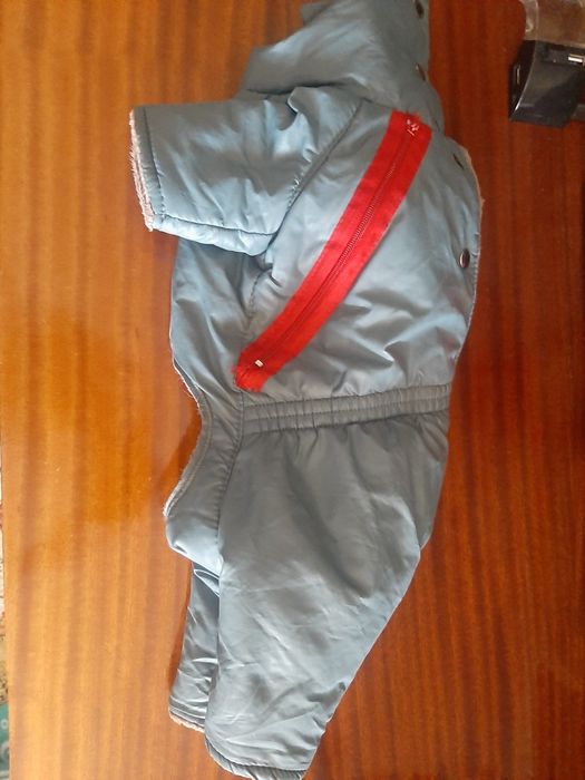 Одежда для собачки