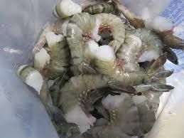 Рыба Семга мороженая. копченая. стейки!!