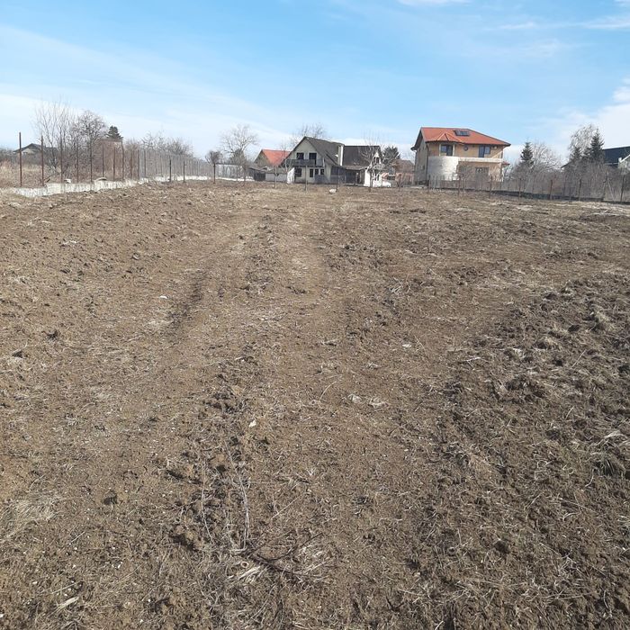 Teren la Lac intravilan construcții Corbeanca Ilfov