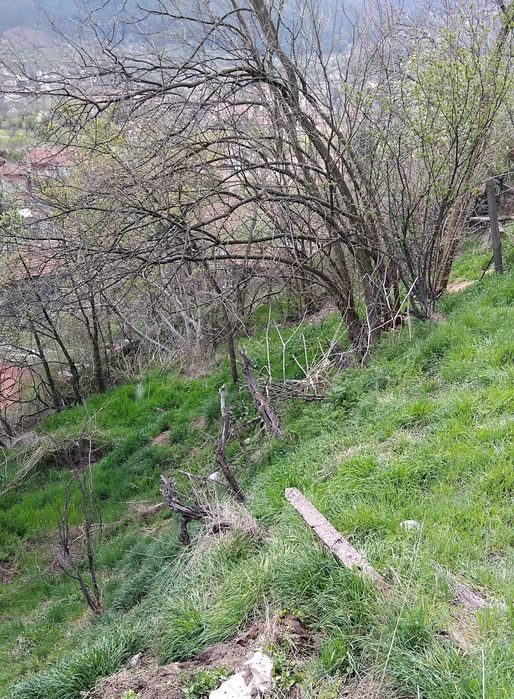 Продава парцел в гр.Бобошево