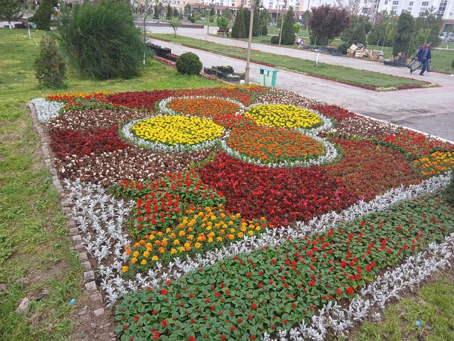Мавсумий ва манзарали гуллар