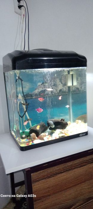 Заводской акварюм 50 тысяч