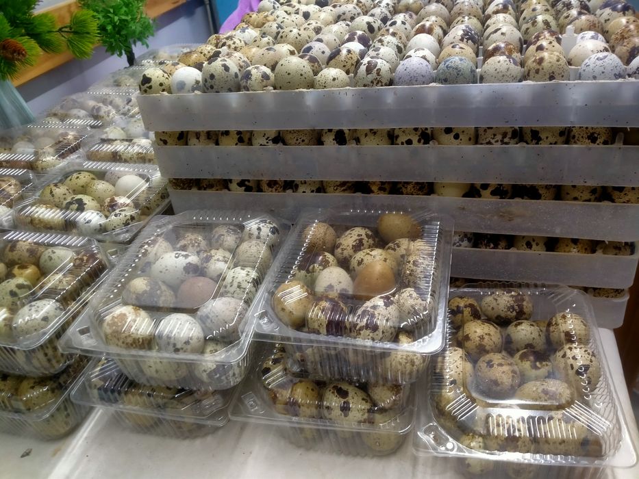 Яйцо перепелинный