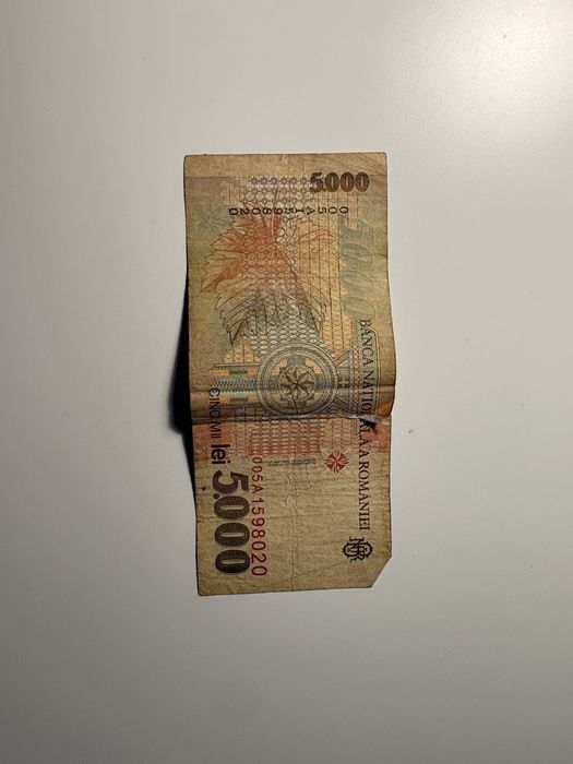 Bancnotă 5000 Lei 1993 – Lucian Blaga