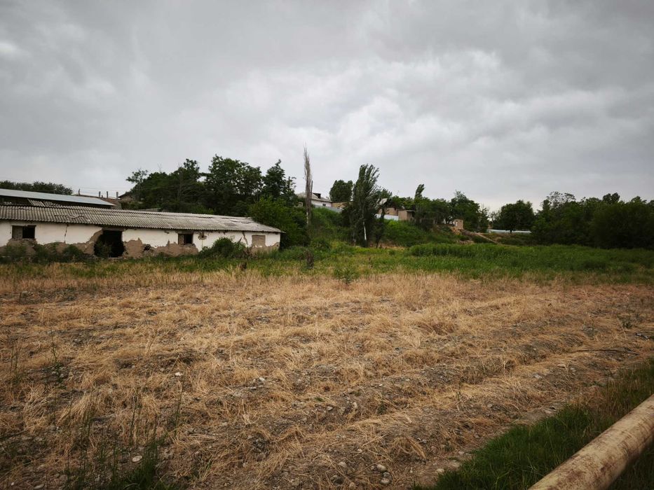 Yu  Ферма 60 соток Янгиюльский район, п.Джамбул