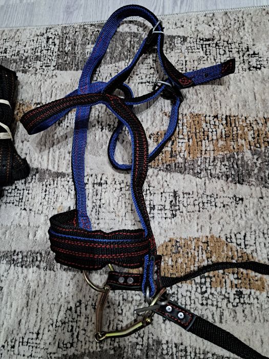 Жуген нокта сатылады