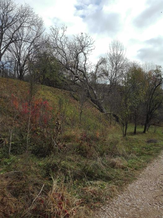 Vând teren intravilan în Sâncraiu, Cluj