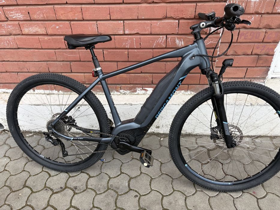 Bicicleta electrica pegasus bergamont bosch