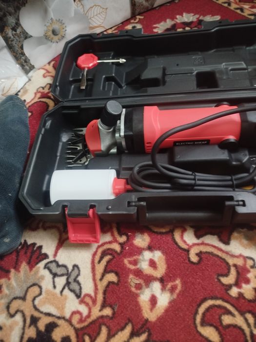 Qoy echki yungini olamiz